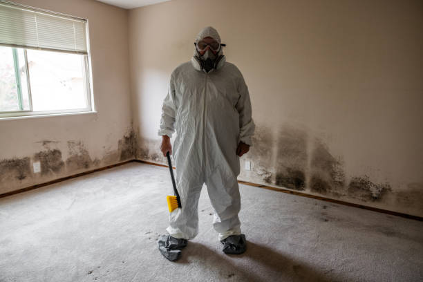 Best Mold Remediation for Healthcare Facilities  in Strawberry, CA